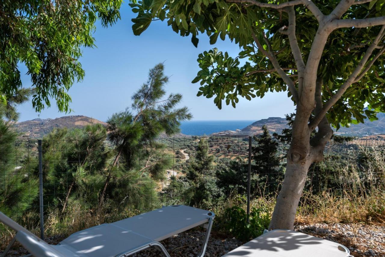 Vrisidia Cottage - Nature, Seaview & Relax بلاكاس المظهر الخارجي الصورة
