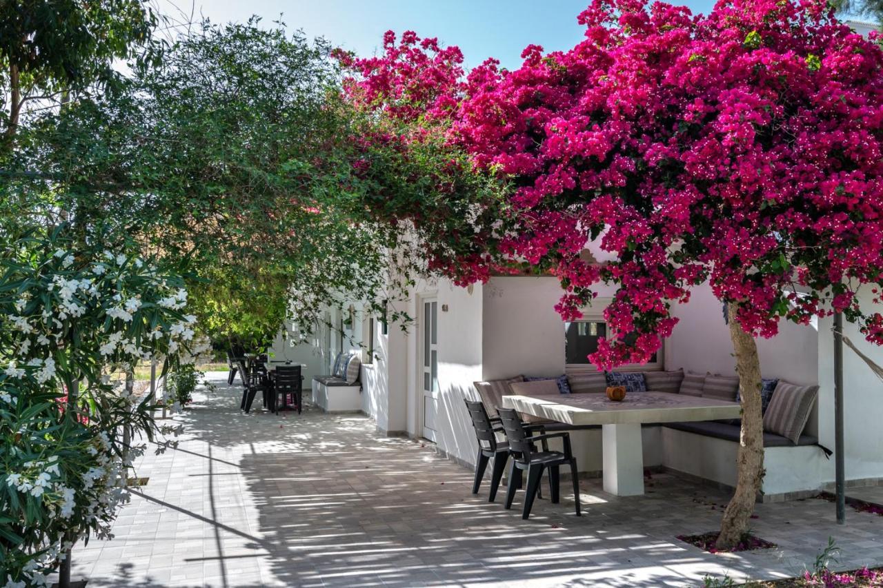 Vrisidia Cottage - Nature, Seaview & Relax بلاكاس المظهر الخارجي الصورة